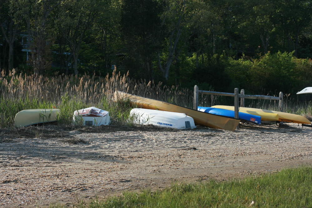 img_7418.jpg