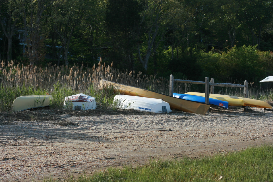 img_7418.jpg
