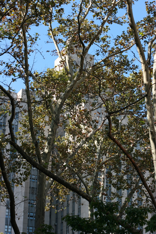 img_5325.jpg