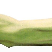 greenarm