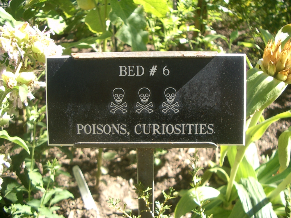 poisons, curiosities