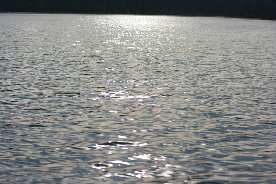 img_5622.jpg