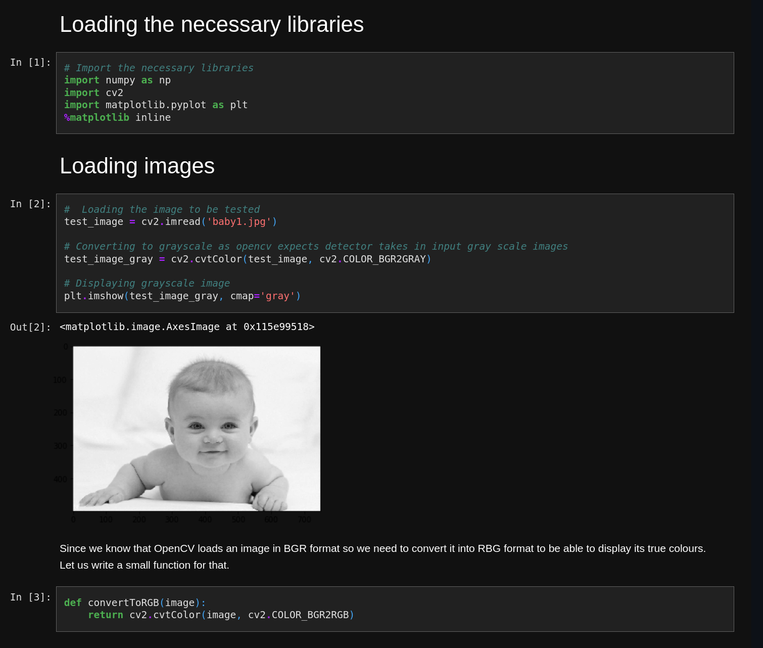 rendered jupyter notebook