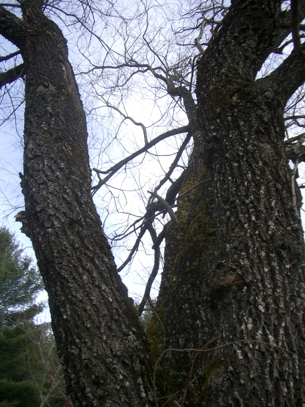 imgp6096
