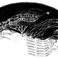 alien 1