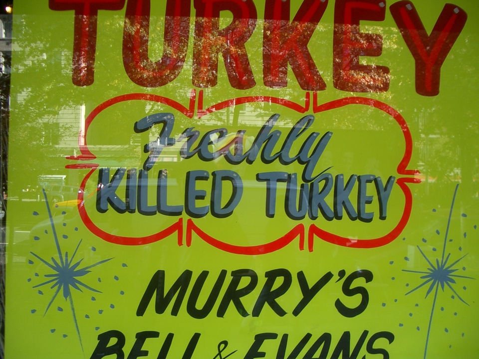 freshly killed turkey